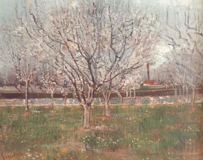 Orchard in Blossom (nn04), Vincent Van Gogh